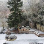 une-rentree-sous-la-neige