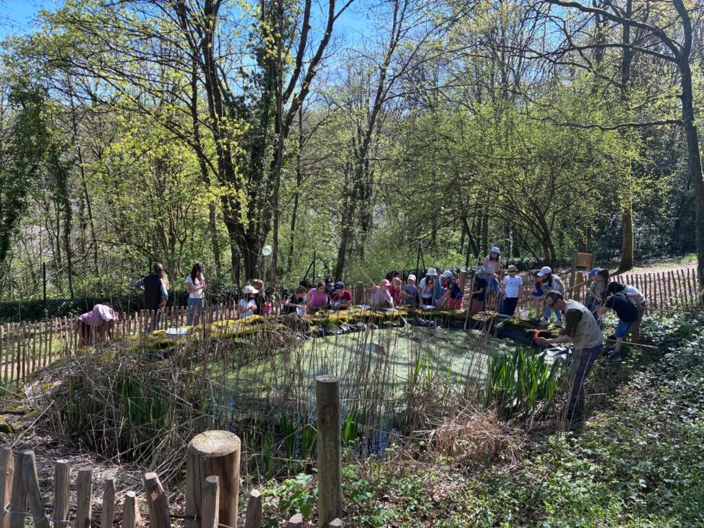 sortie-a-la-mare-ce1-ce2