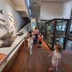 museum-aquarium-de-nancy